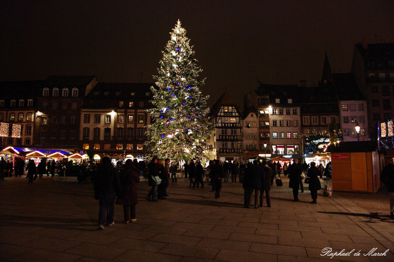 Strasbourg Capitale de Noel - Le grand sapin Place Kleber